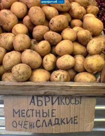чую подвох... но так хочется абрикосов!