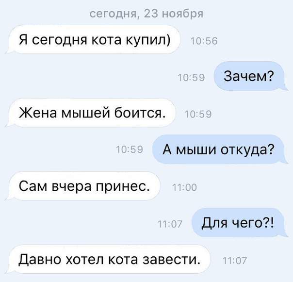 Чего только не сделаешь ради мечты