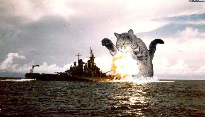 Кингкот