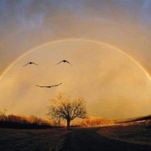Колобок жив