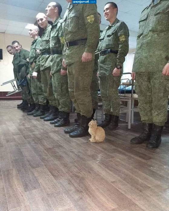 Прапорщик Кудейко вчера обидел Хоттабыча...
