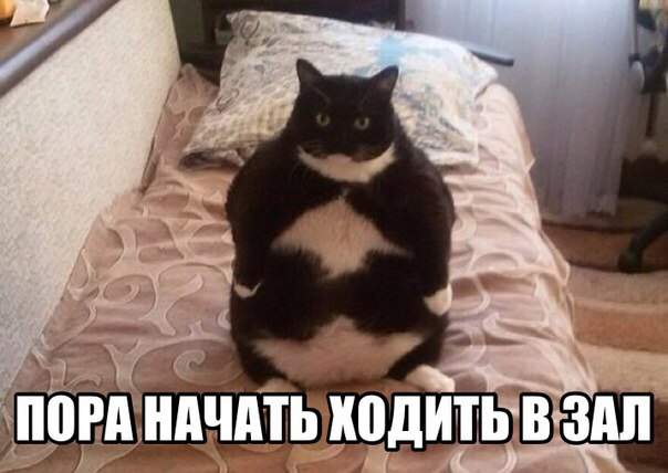 Я не толстый, у меня атипичная дистрофия