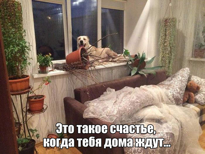 Фадеев.Разгром.