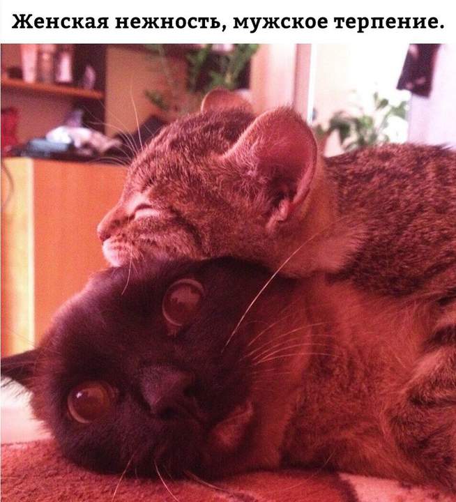 Ненавижу.......