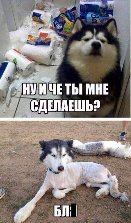 Преступление и наказание