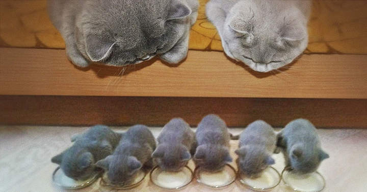 Ну и? который не похож, говоришь?