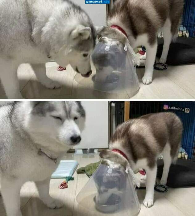 Чтобы не отбирал, а то и так толстый