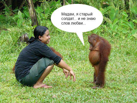 Поэтому позвольте просто вам впендюрить...