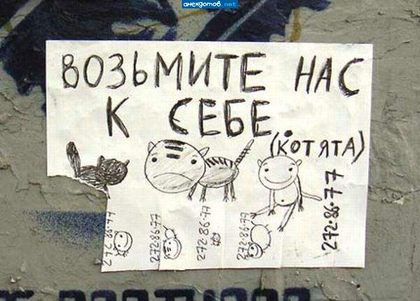 ... зато не пропускали уроки доброты