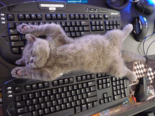 Безграмотность полнейшая - вот это ужас!!!