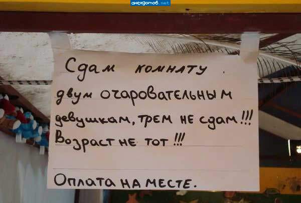 Дедуль, я в доле. Сдадим трём.