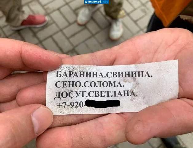 Недалёкая полная женщина предлагает отдохнуть на природе