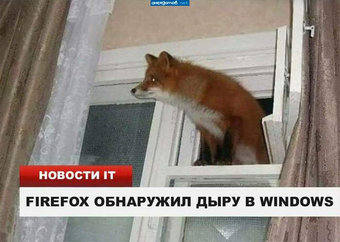 Щас хакну курочку