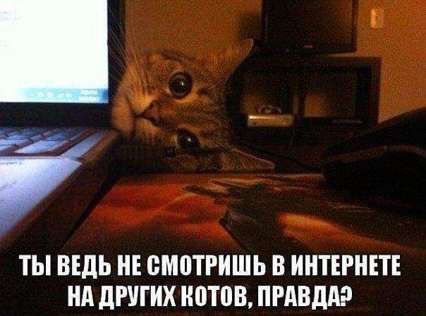 Говори только правду... И только с три короба!!!