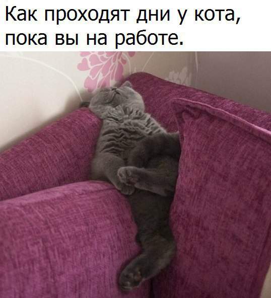 Вот он недостающий элемент в диване!