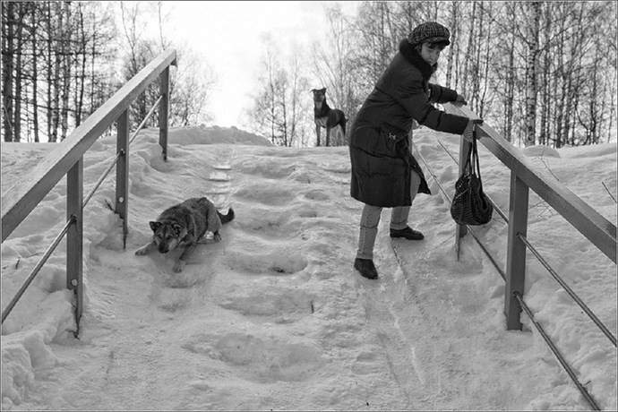 Хозяйка, когти выпускай!