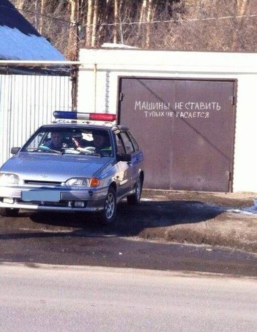 Не считайте их тупыми! Они просто не умеют читать...