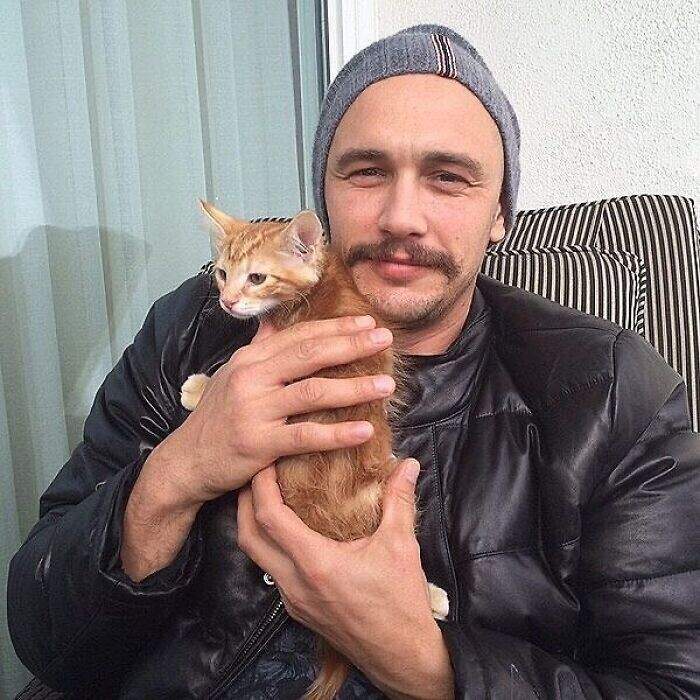 "мадам, Вам два котика не нужны?"