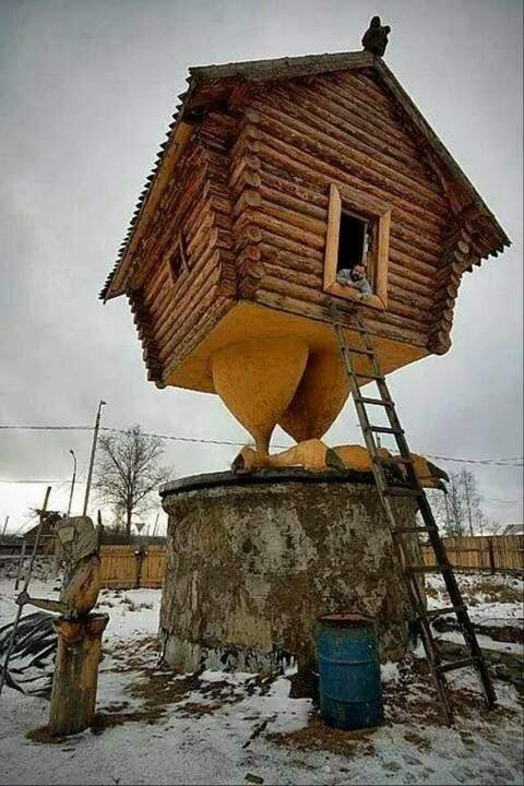 Чем ее так напугали, что она на бак взобралась?