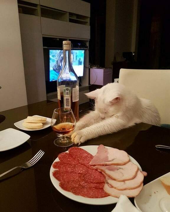 "Борьба добра со злом"