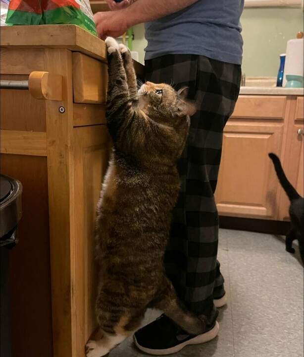 Не доверяет!