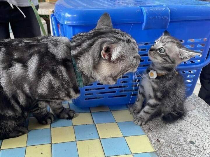 Сядь уроки делать!