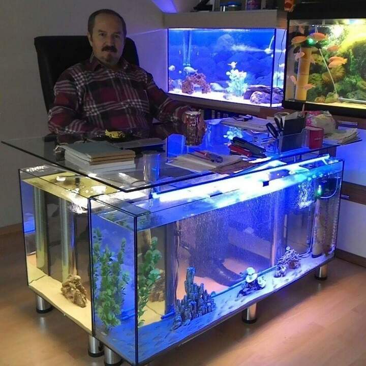 У меня все прозрачно