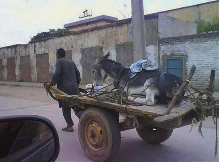 Эвакуатор