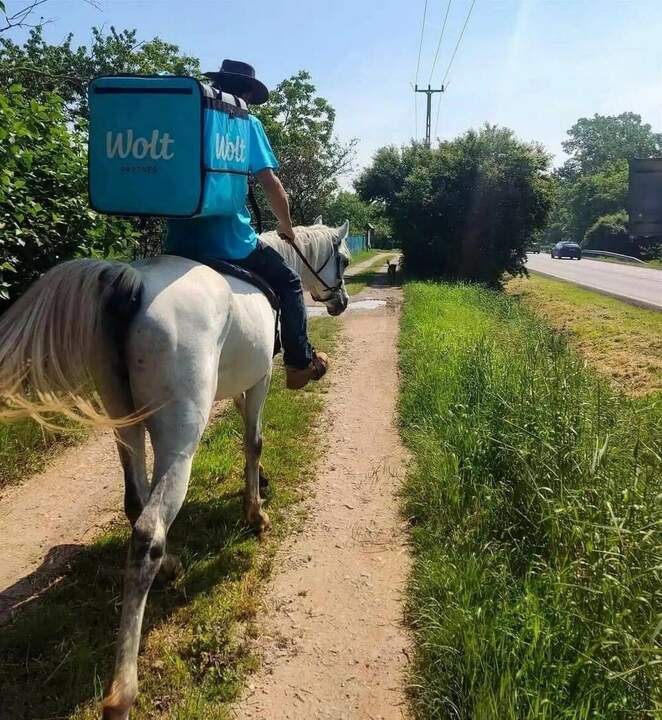Хоть горшком назови...