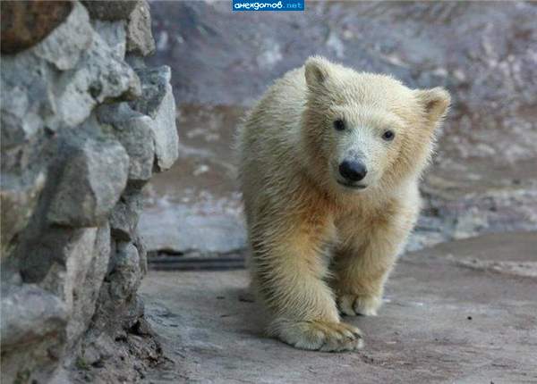 Ну и что ,что я косолаплю,зато в душа добрая!!