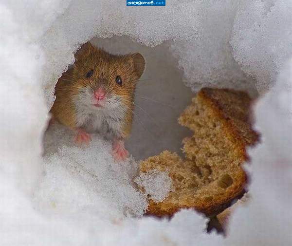 Стучаться надо!