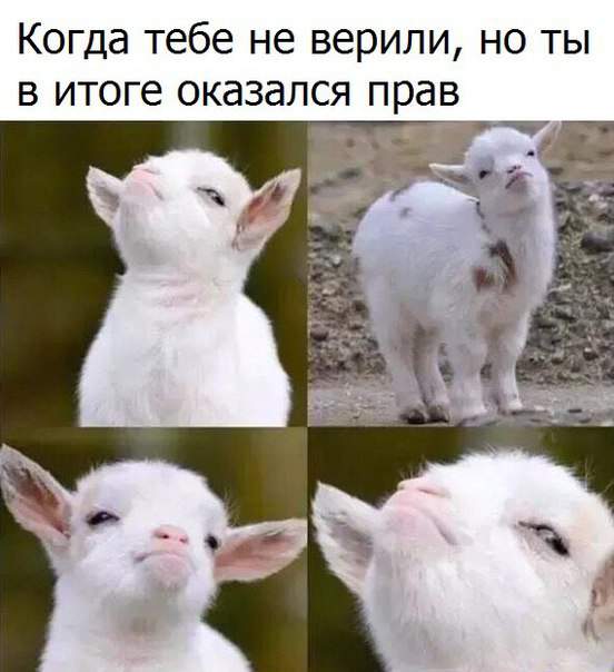 Нарцисс?!