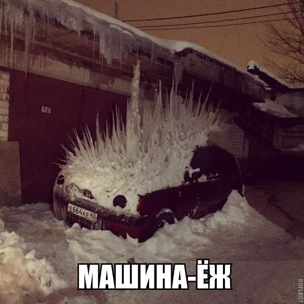 Самый известный панк Калуги...- Ёжмобиль...