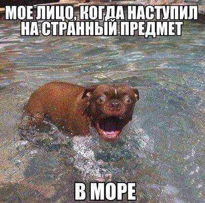 ему повезло,что он не видел лица этого странного предмета.....