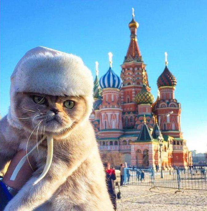 Васька блаженный