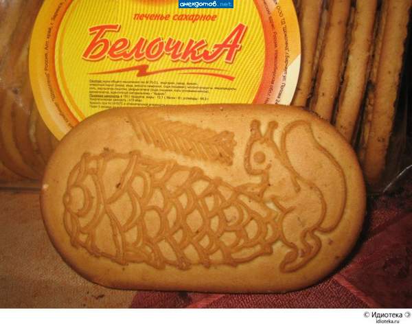 какая у белки шишка!