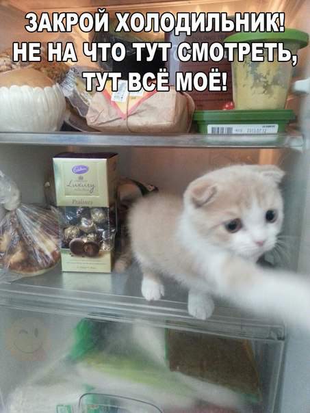 Закрой и пусть холодно, зато есть что пожрать, да и дети ваши не мешают!!