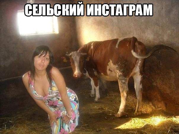 А городские в санузлах фотографируются
