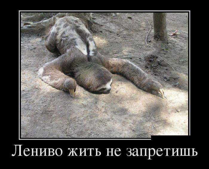 Да и сам я нынче что-то стал нестойкий- не дойду до дома с дружеской попойки...
