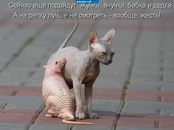 Внучку в студию!!!