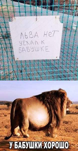 Лев толстой