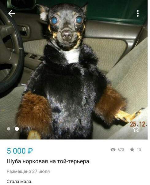 Я вся такая в дольче-габбана!