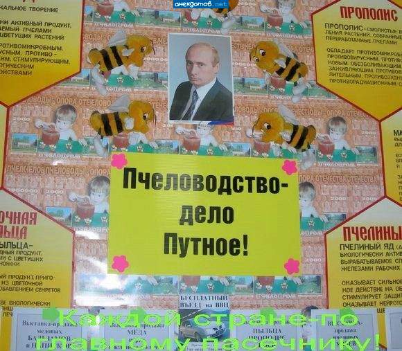 винни-Пут