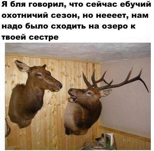 Ну он все сказал