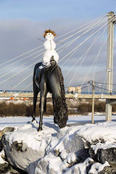 белый принц на черном коне