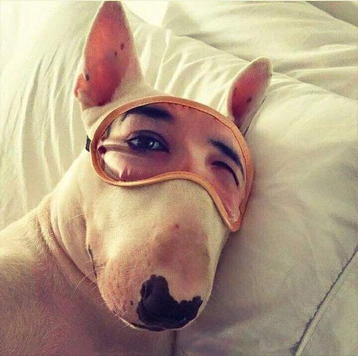 А мне идет, даже больше чем хозяйке!