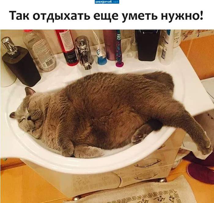 - Годика через два в ванне буду спать...