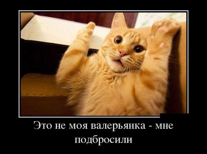 Хендс ап, беби, хендс ап.......