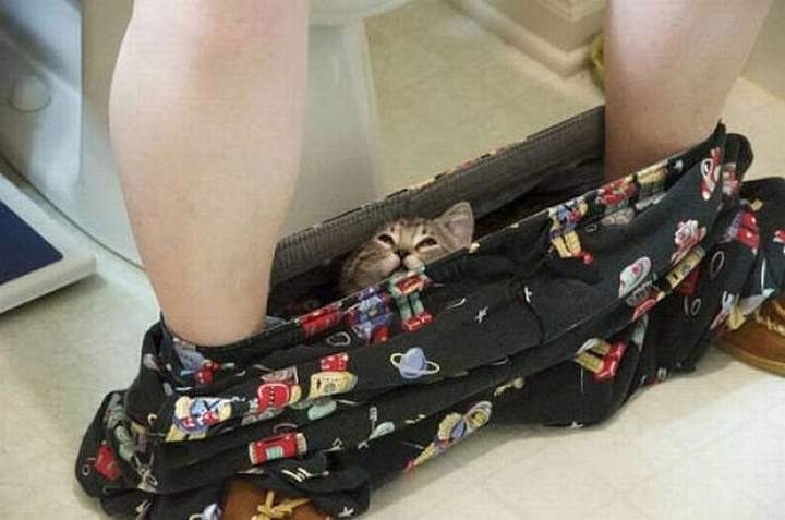 Мне снизу видно всё, ты так и знай...