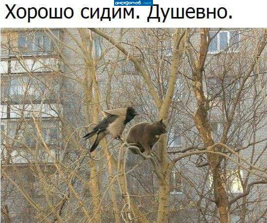 ...где-то халява намечается.....